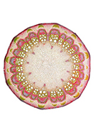trashtotrend